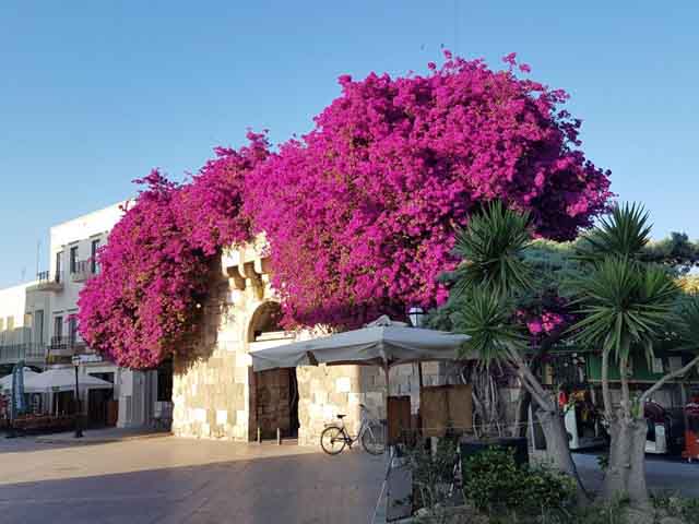 Kipriotis Panorama Hotel & Suites - 