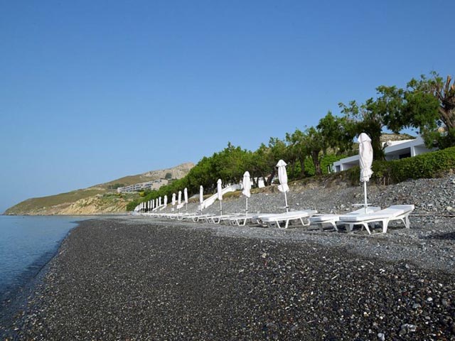 Dimitra Beach Resort - 