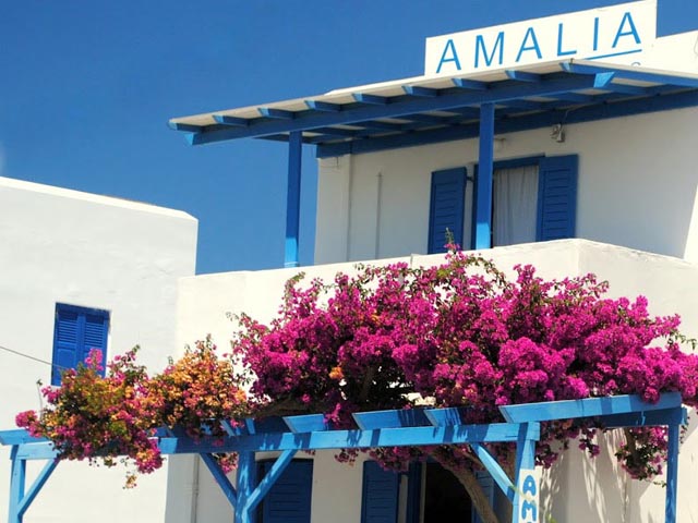 Amalia Apartments - 