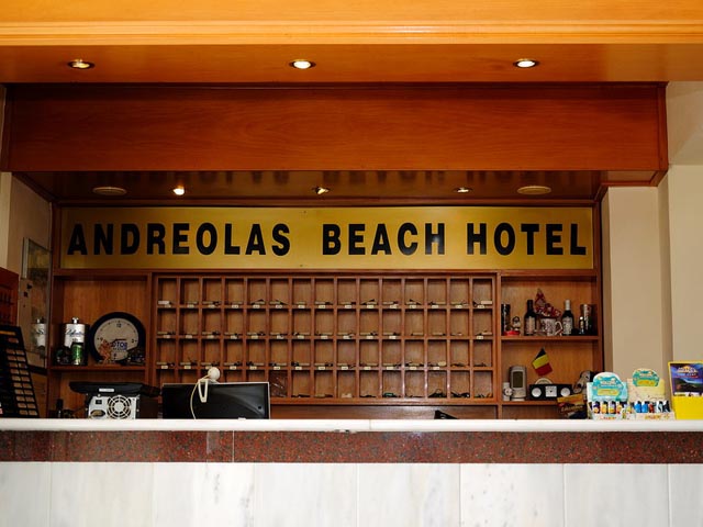 Andreolas Beach Hotel - 