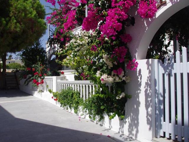 Santorini Houses - 