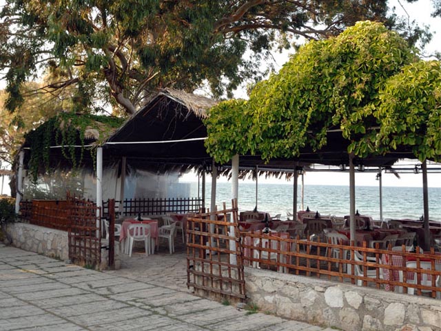 Mimoza Beach Hotel - 