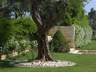 Corfu Villas ( Villa Sylva) - Garden View